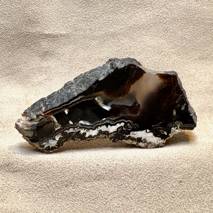 Geode, Black Agate (Bulgaria)