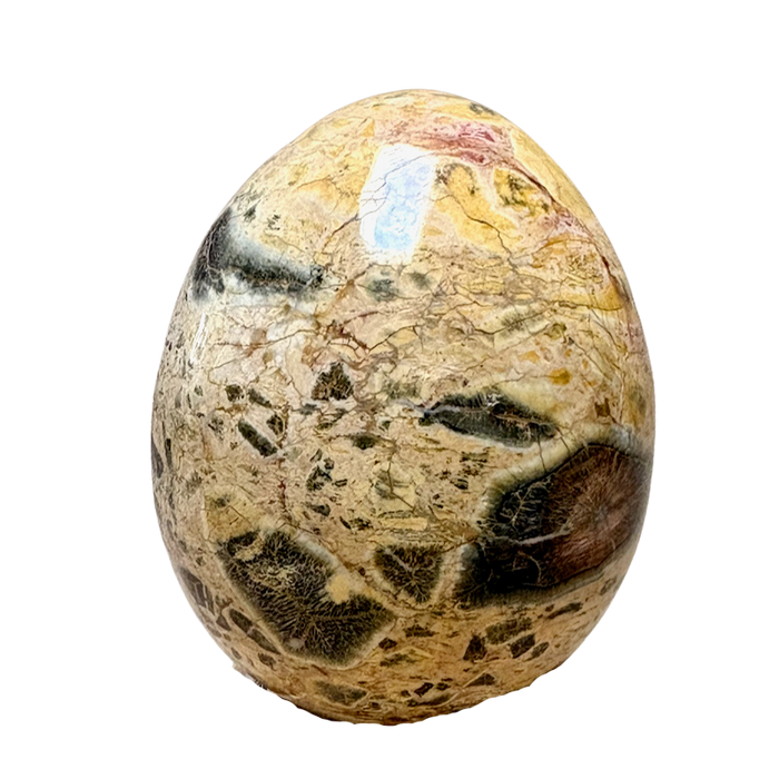 Jasper (Brecciated) Polished Egg