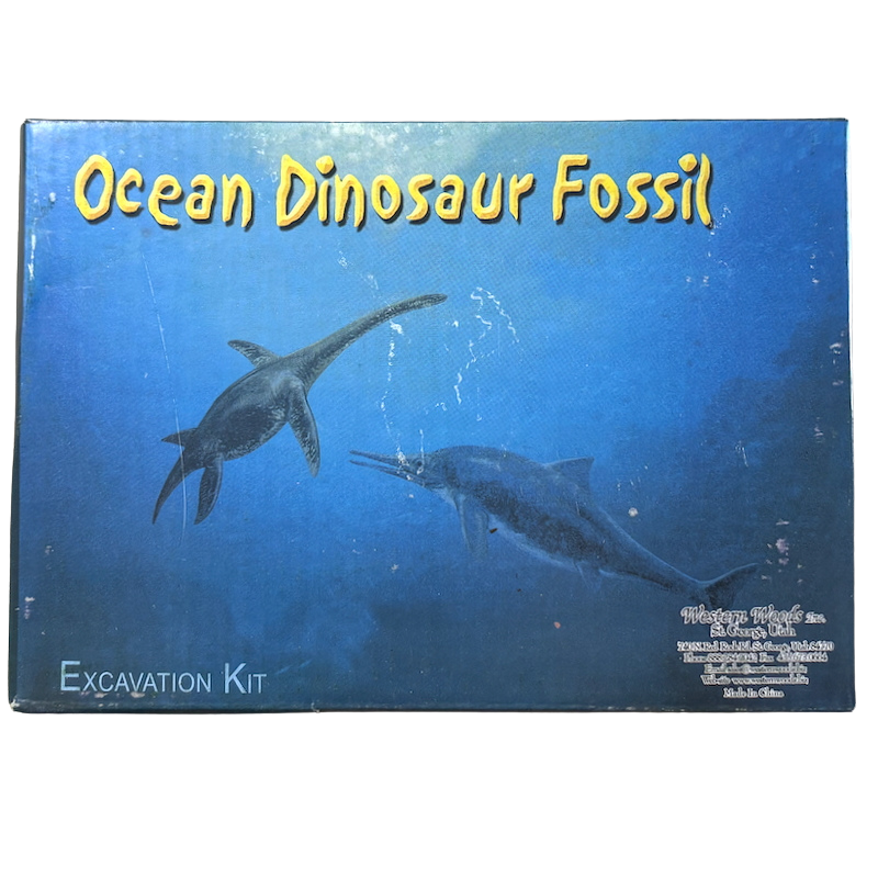 Ocean Fossil Excavation Kit