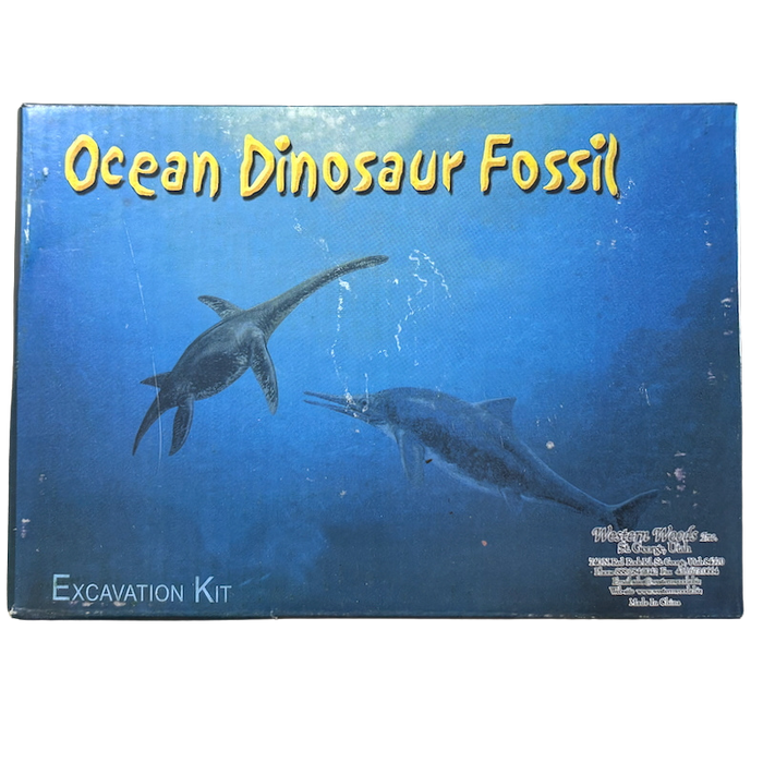 Ocean Fossil Excavation Kit