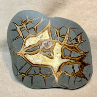 Septarian Nodule Polished Face (Utah)