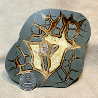 Septarian Nodule Polished Face (Utah)