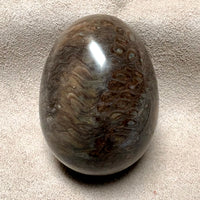 Fossilized Pine Cone Polished Egg (Africa)