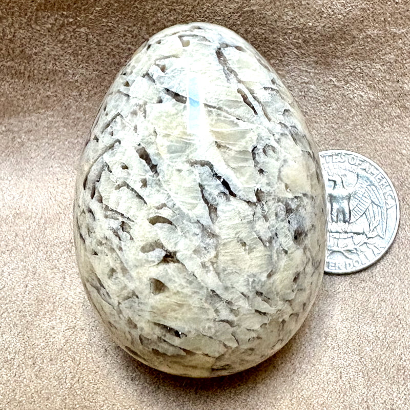 Graphic Granite Polished Egg