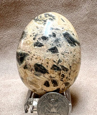 Jasper (Brecciated) Polished Egg