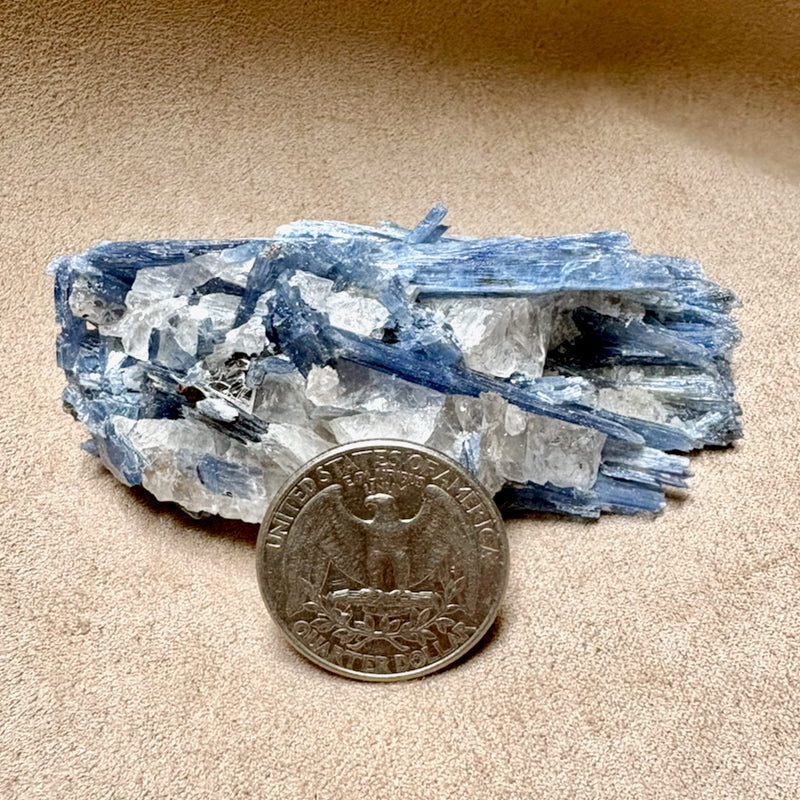 Kyanite and Quartz (Brazil)