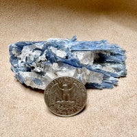 Kyanite and Quartz (Brazil)