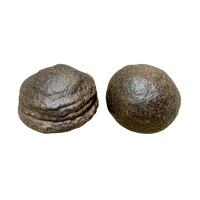 Moqui "Shaman" Stone Female-Male Pair, Large (Utah)