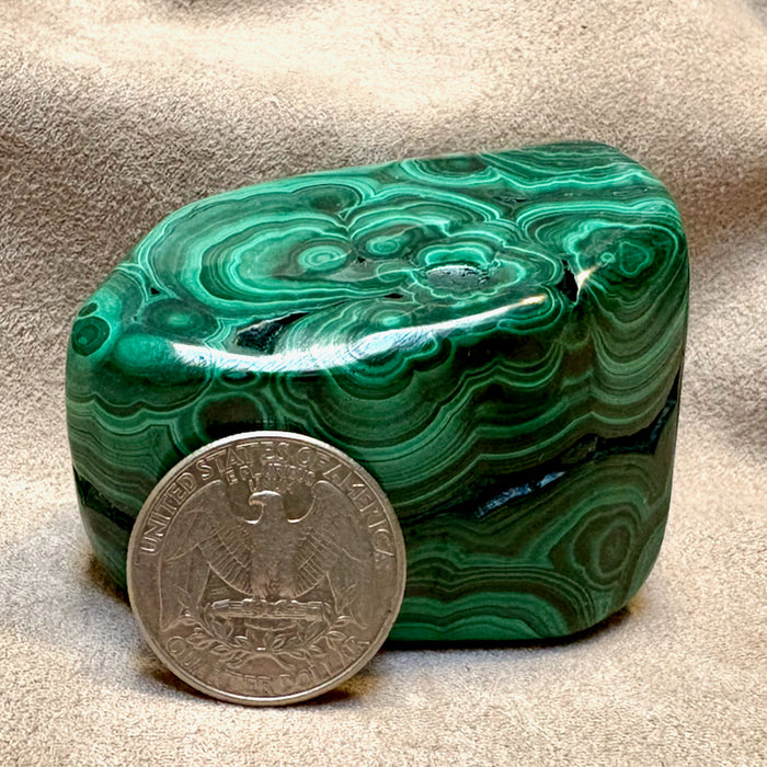 Malachite Polished Freeform (Democratic Republic of Congo)