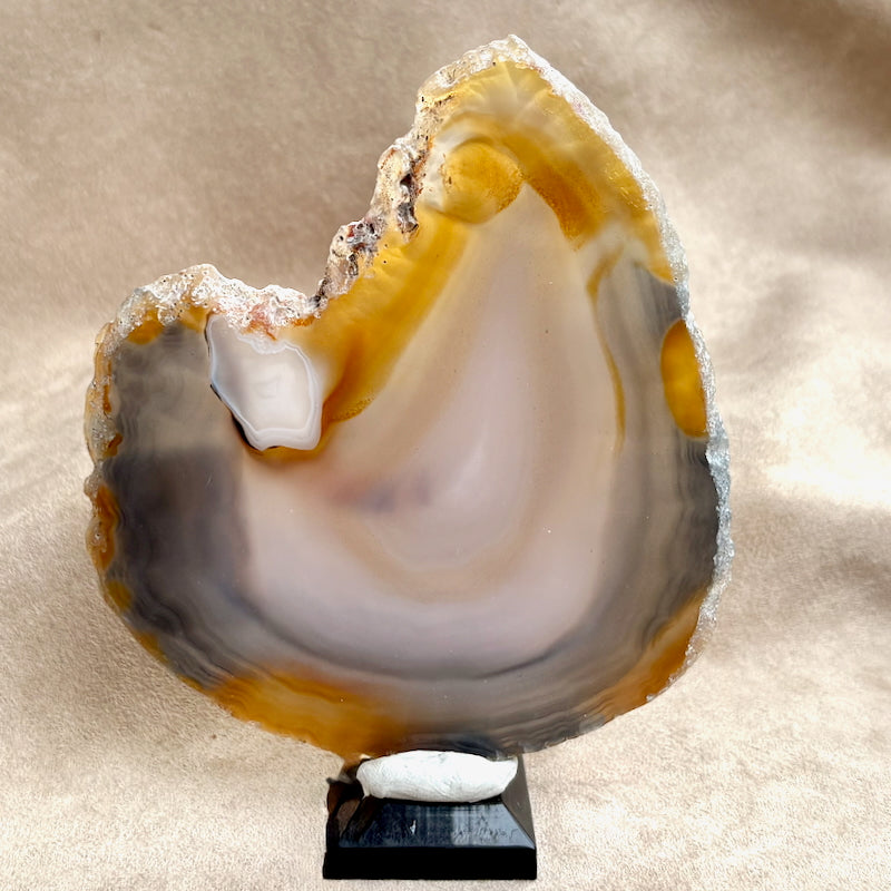 Agate Polished Slice (Brazil)
