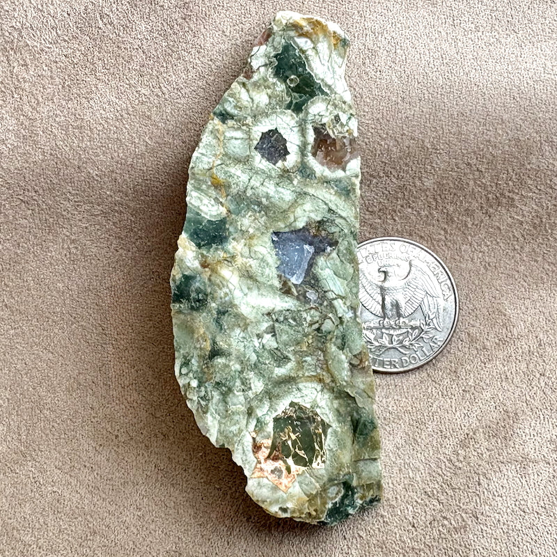 Jasper, Rainforest (Australia)