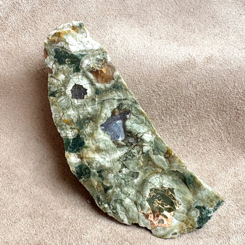 Jasper, Rainforest (Australia)