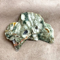 Jasper, Rainforest (Australia)