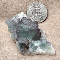 Fluorite (Bound Ranch District, Grant Co., New Mexico)