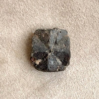 Staurolite Crystal (Taos Co., New Mexico)