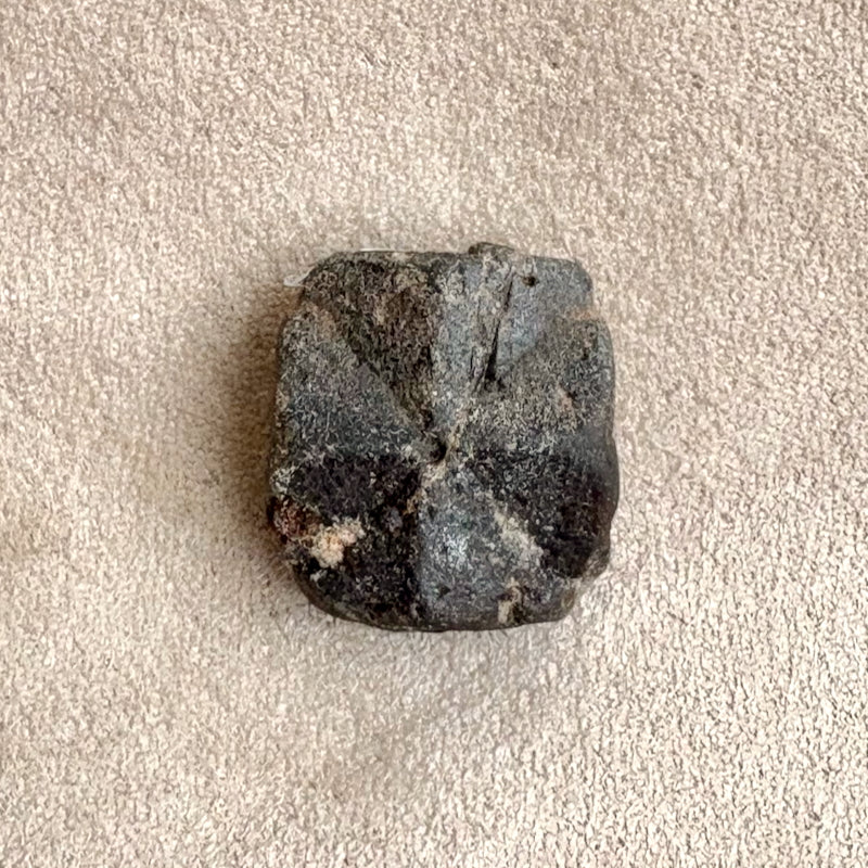 Staurolite Crystal (Taos Co., New Mexico)