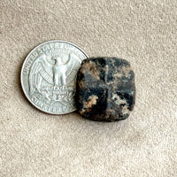 Staurolite Crystal (Taos Co., New Mexico)