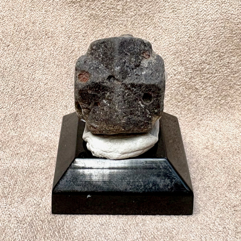 Staurolite Crystal (Taos Co., New Mexico)