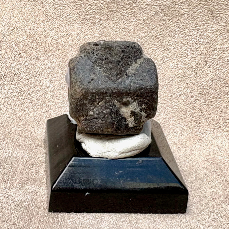 Staurolite Crystal (Taos Co., New Mexico)