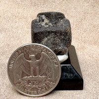 Staurolite Crystal (Taos Co., New Mexico)