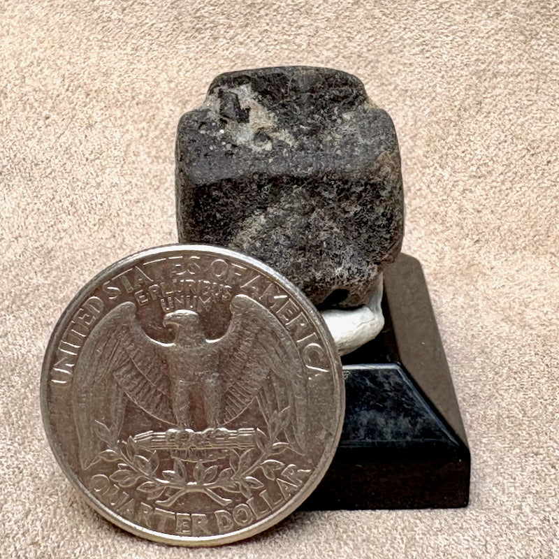 Staurolite Crystal (Taos Co., New Mexico)