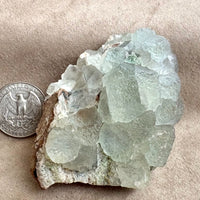 Fluorite (Blanchard Mine, Socorro Co., New Mexico)