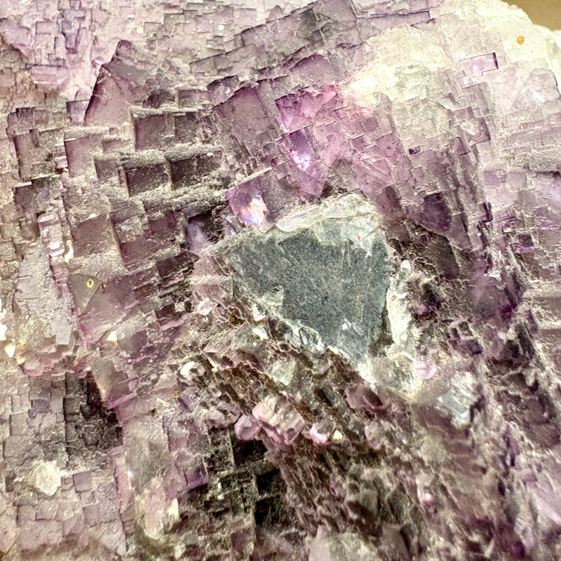 Fluorite (Mexico)