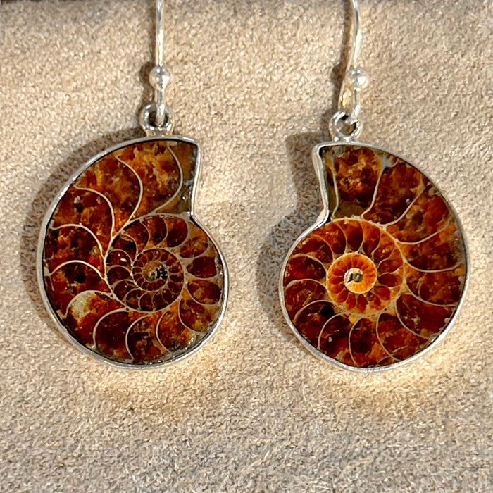 Ammonite Slice Dangle Earrings