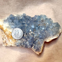 Fluorite with Quartz (Blanchard Mine, Socorro Co., New Mexico)