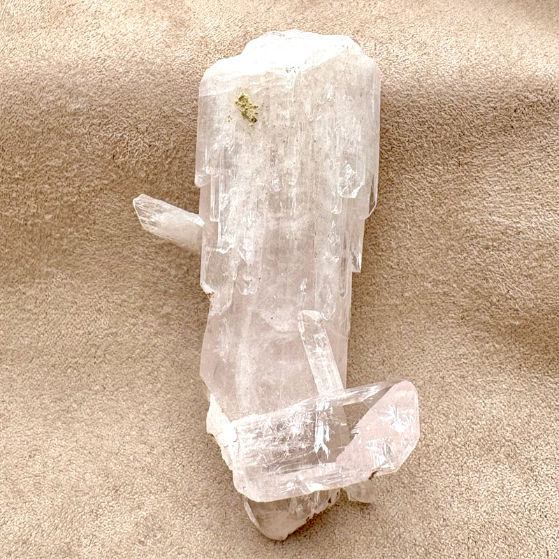 Danburite Crystal (Mexico)