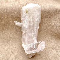 Danburite Crystal (Mexico)