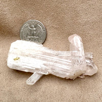 Danburite Crystal (Mexico)