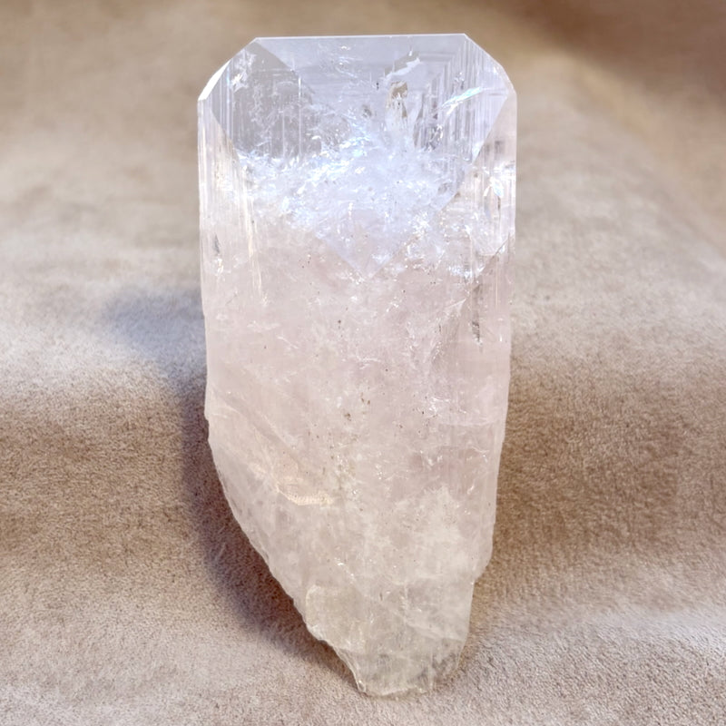 Danburite Crystal (Mexico)