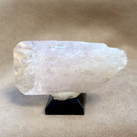 Danburite Crystal (Mexico)