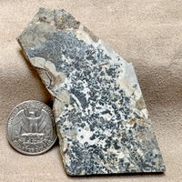 Silver Ore (Alhambra Mine, Grant Co., New Mexico)