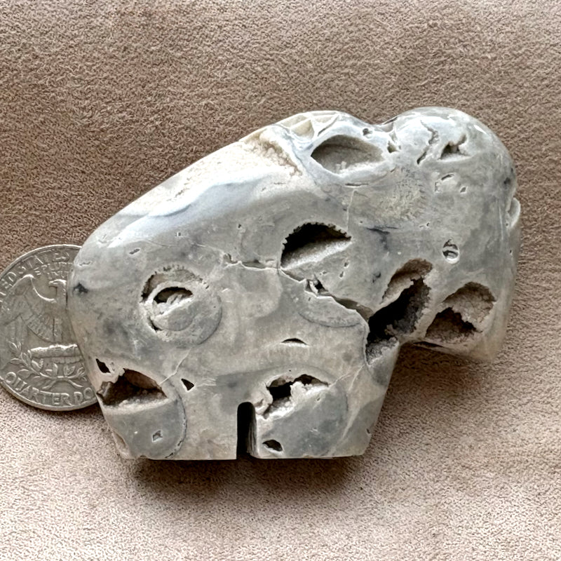 Buffalo Fetish Carving in Fossil Limestone