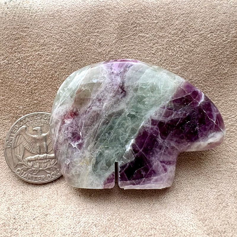 Bear Fetish Carving in Fluorite