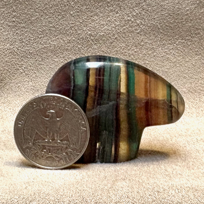 Bear Fetish Carving in Fluorite