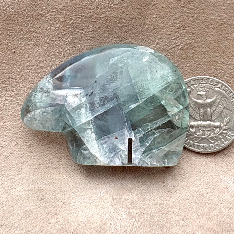 Bear Fetish Carving in Fluorite