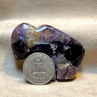Buffalo Fetish Carving in Fluorite