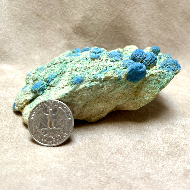 Azurite Balls in Sandstone (Sandoval Co., New Mexico)