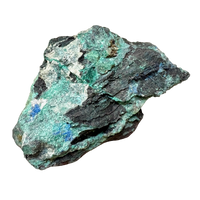 Petrified Wood, "Nacimiento" (Triassic, Sandoval Co., New Mexico)