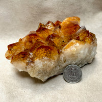 Citrine Crystal Cluster (Brazil)