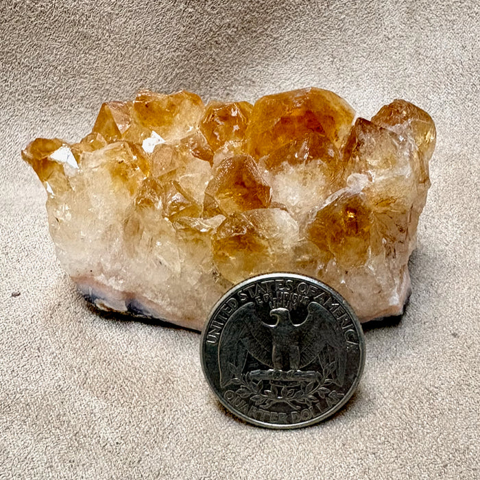 Citrine Crystal Cluster (Brazil)