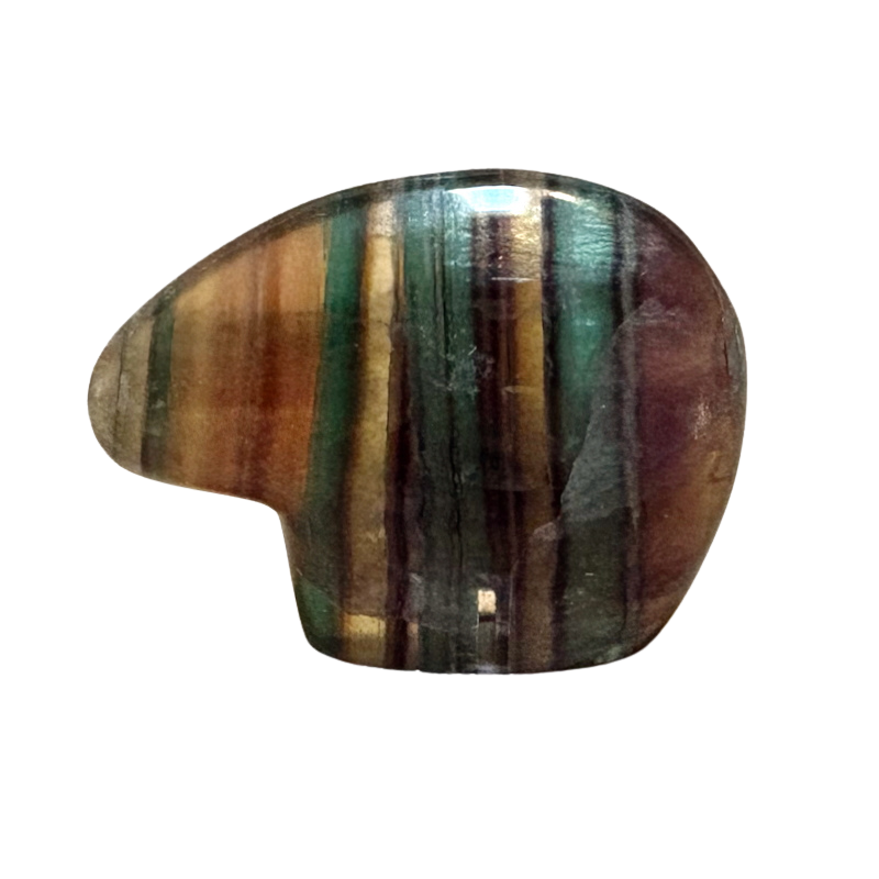 Bear Fetish Carving in Fluorite