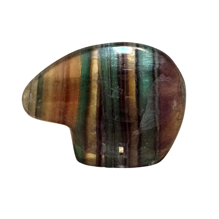 Bear Fetish Carving in Fluorite