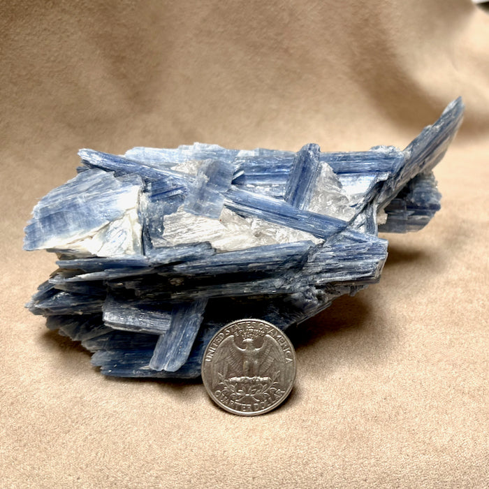 Kyanite and Quartz (Brazil)