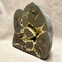 Septarian Nodule Standup (Utah)