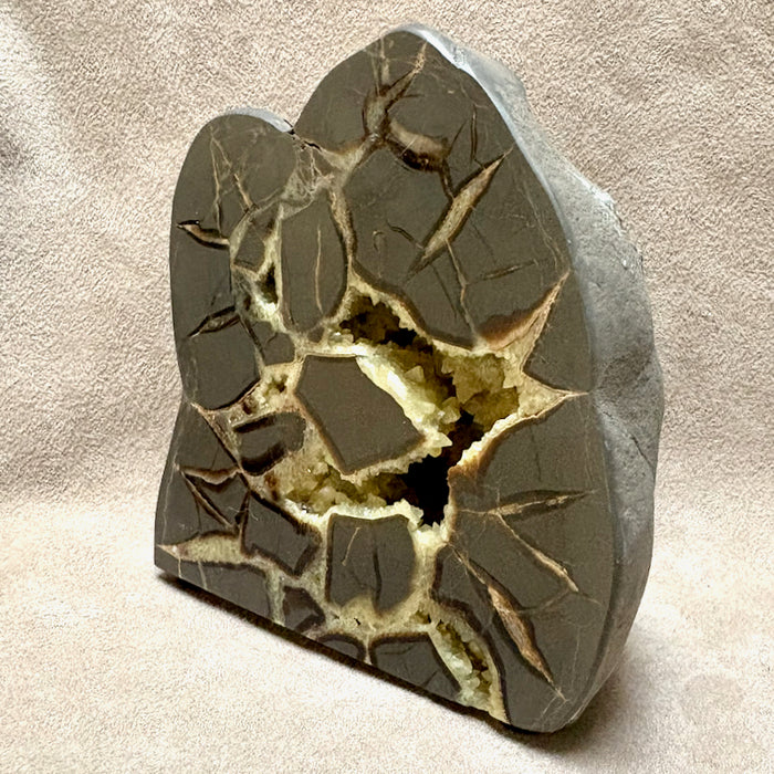 Septarian Nodule Standup (Utah)
