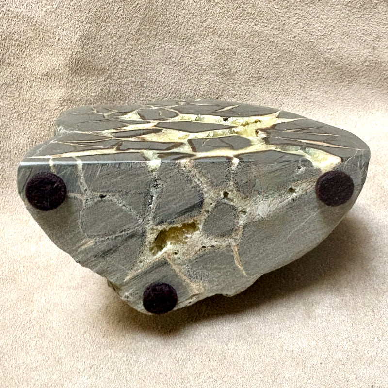 Septarian Nodule Standup (Utah)